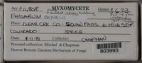 Image Associated With the Occurence